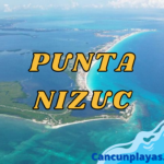 Punta Nizuc, el Mejor lugar de Buceo en Cancún.
